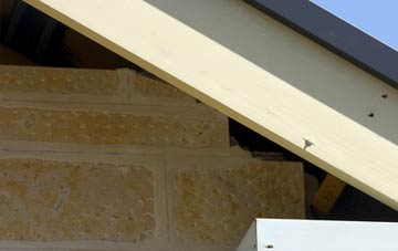 soffit repair Broadwas