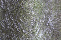 Broadwas fibreglass roof work